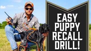 Easy Recall Drill For Dogs or Puppies