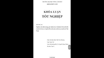 KLTN - BẢN WORLD - NGHIÊN CỨU KHẢ NĂNG GÂY BỆNH CỦA VI KHUẨN EDWAERDSIELLA TRÊN CÁ RÔ PHI