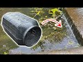 Amazonで3000円の魚捕り罠を川の流れ込みに仕掛けた結果・・・!