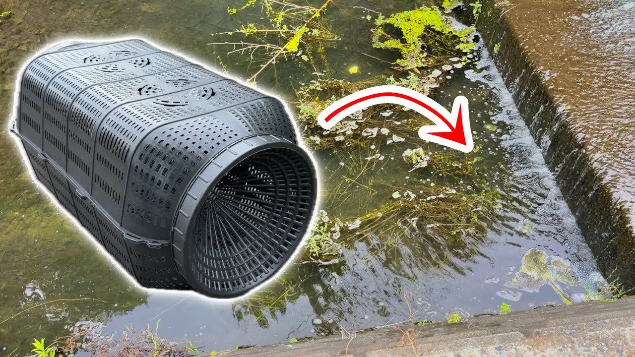 Amazonで3000円の魚捕り罠を川の流れ込みに仕掛けた結果・・・!