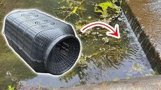 アマゾンで3000円の魚捕り罠を川の流れ込みに仕掛けた結果・・・!