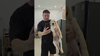 Ai rồi cũng phải lớn, ai rồi cũng phải già đi. #cucaikimchi #funnydogs