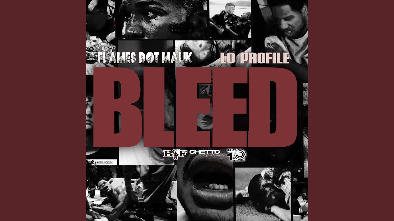 Bleed (feat. Lo Profile)