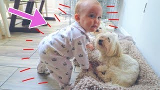 Baby Stands Up!!