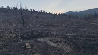Wildfire Destruction. Sheep Fire 2020