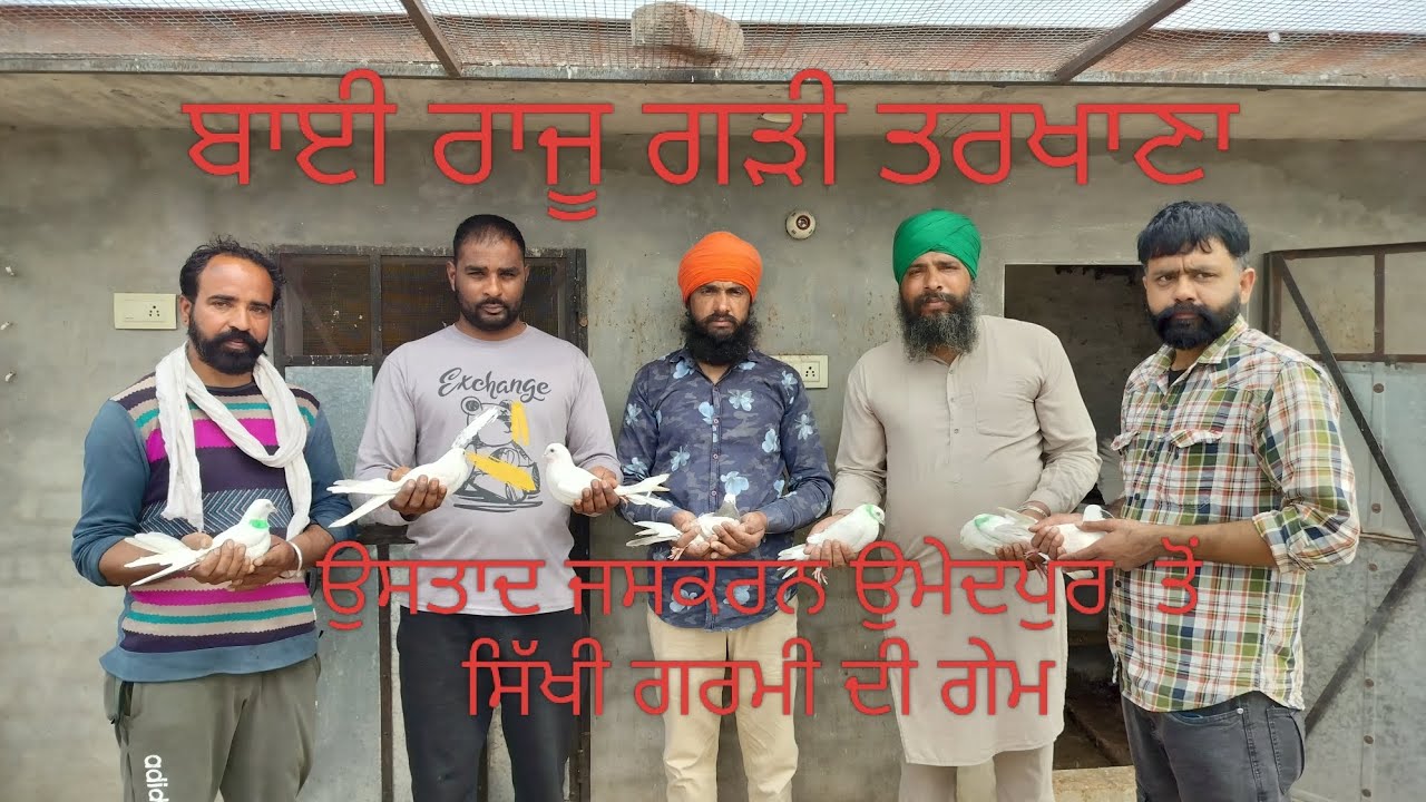 ਗਰਮੀ ਦੀ ਗੇਮ ਦੂਸਰਾ ਦੀ ਗੇਮ ਲਾਲ ਸਿਰੇ ਕਬੂਤਰ ਪੁਰਾਣੇ