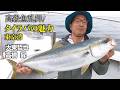 高級魚乱舞！タイラバの魅力・東京湾