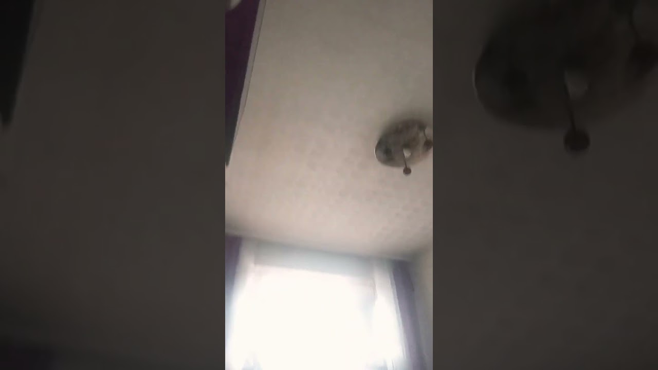 23 февраля 2026 г.