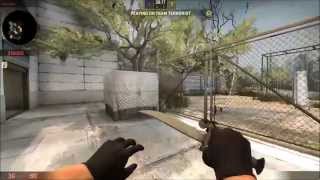Cache- A Minimalistic Flash Tutorial