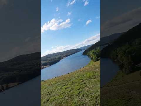 Visiting the local wildlife #dji #racingdrones #dronefootage #drone #geese #wildlife #cinematic