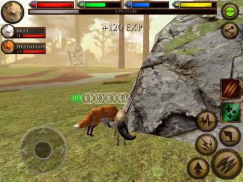 Ultimate Fox Simulator 1#: Eatting Mushrooms!