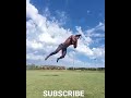 Mix martial arts training at park|prajapati tutorials| amit pandit|#shorts#muythai