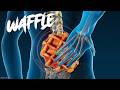 Waffle