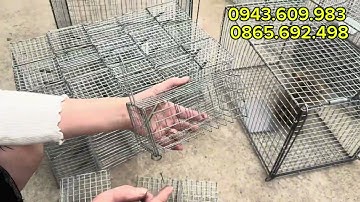 ❤️🐭LỒNG BẪY CHUỘT ĐƯỜNG MÒN, CỐNG NHUM , SÓC ĐẤT.  LỒNG CẦY CÁO CHỒN , TẶNG LÒ XO , CÓ BẢO HÀNH ❤️🐭