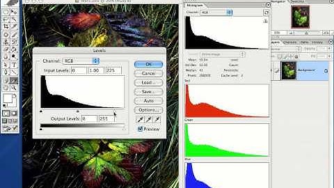 How To Read An Image Histogram In Photoshop