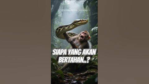"Monyet Muda Dililit Ular Piton – Pertarungan Hidup & Mati di Alam Liar" #animalshorts