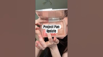 Project Pan Update #projectpan #projectpancommunity #overconsumption