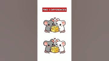 Spot 3 Differences #132