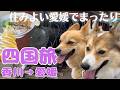 【四国旅⑤】産業遺産の里にお洒落なマルシェ！時間も気にせず居心地のいい場所を求めて愛媛をうろつく一日【香川/愛媛】道の駅とよはま/マリントピア別子/いとまちマルシェ/今治湯ノ浦温泉/今治港