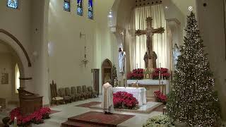 The Baptism of the Lord - 10:30 AM and 12:15 PM Sunday Mass at St. Joseph's (1.10.21)