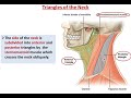 Overview of the Neck (1) - Layers and Triangles - Dr. Ahmed Farid