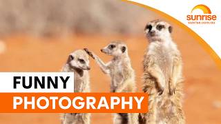Comedy Wildlife Photography Awards highlights | Sunrise