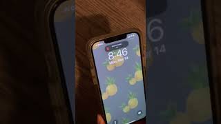 How to turn the Ringer on and off on an iPhone