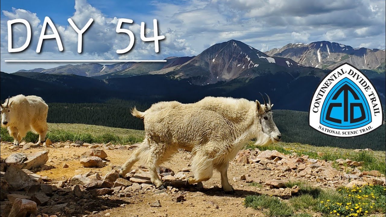 CDT Day 54 Goats Goats Goats! YouTube