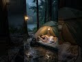 ⛈️ Heavy Rain Camping in the Wild – Relaxing Rain Sounds for Sleep