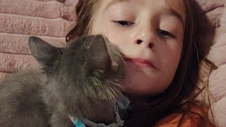 The story of Gary and Mimi...#trending #shorts #youtubeshorts #fyp #video #viral #trendingshorts 
