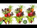 bottle garden ideas//hanging plant pots//vertical garden