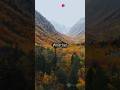 Breathtaking Maroon Bells Drone View! #shorts