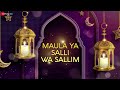 Maula Ya Salli Wa Sallim - Full Audio | Islamic Music | Amjad Nadeem | Yasser Desai Mp3 Song