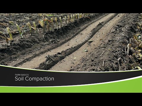 Soil Compaction