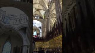 Barcelona. The Cathedral of the Holy Cross and Saint Eulalia.