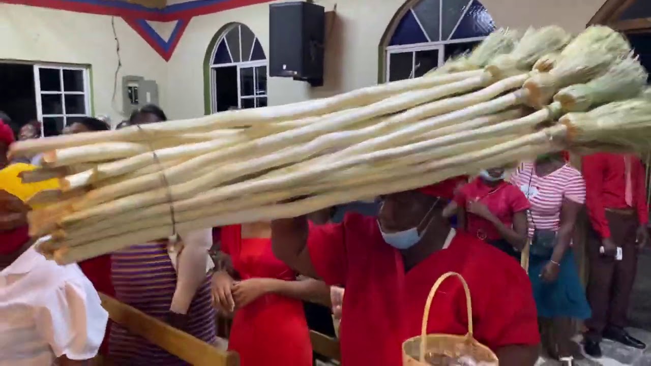 ZION OH LORD - APOSTLE RAY FOSTER - CLIP