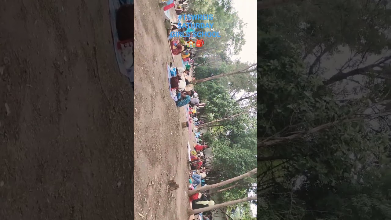 #TSWREIS SCHOOL #youtube #video