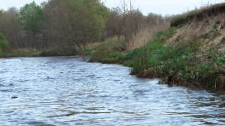DSCF0540