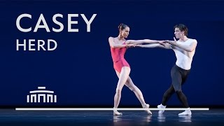 Casey Herd Principal At Dutch National Ballet