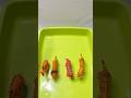 Tiger Lion Safari Jungle Animal Toys, Asmr So Satisfying
