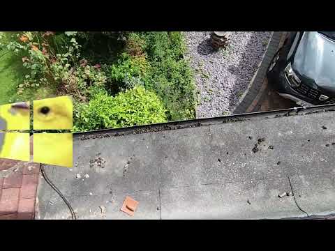 The Canary Idents Canary TV 1 Series 1 Episode 1 Outdoors Morning