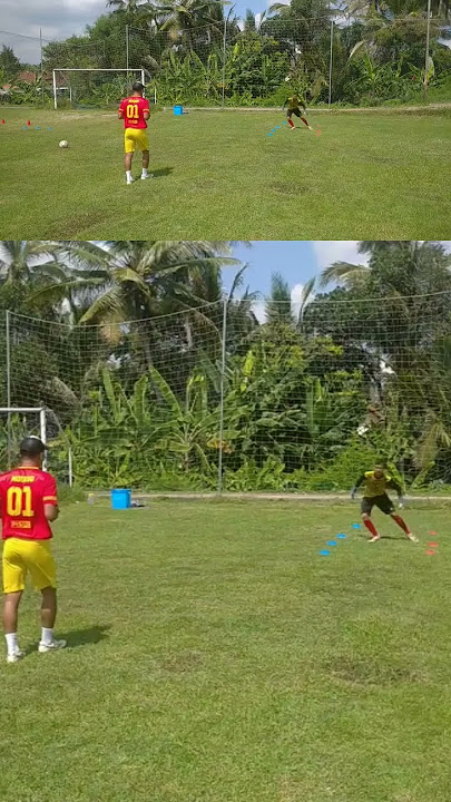 🔴🔴[HANDLING] ACTIVATION PROGRESIV || Privat goalkeeper Training #goalkeeper #kiper #dm34 #shorts