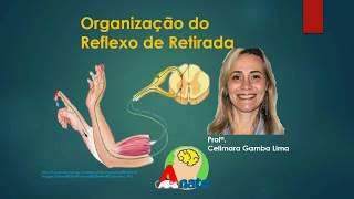 Neuroanatomia - Reflexo de Retirada - Prof. Celimara
