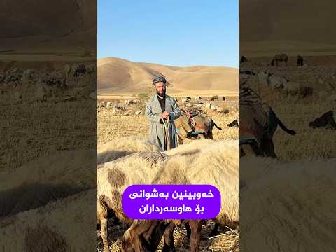 شوانی لەخەودا بۆگەنج بۆهاوسەران اکسپلور Shorts خەو لێکدانەوەی خەون شوانی گەنج