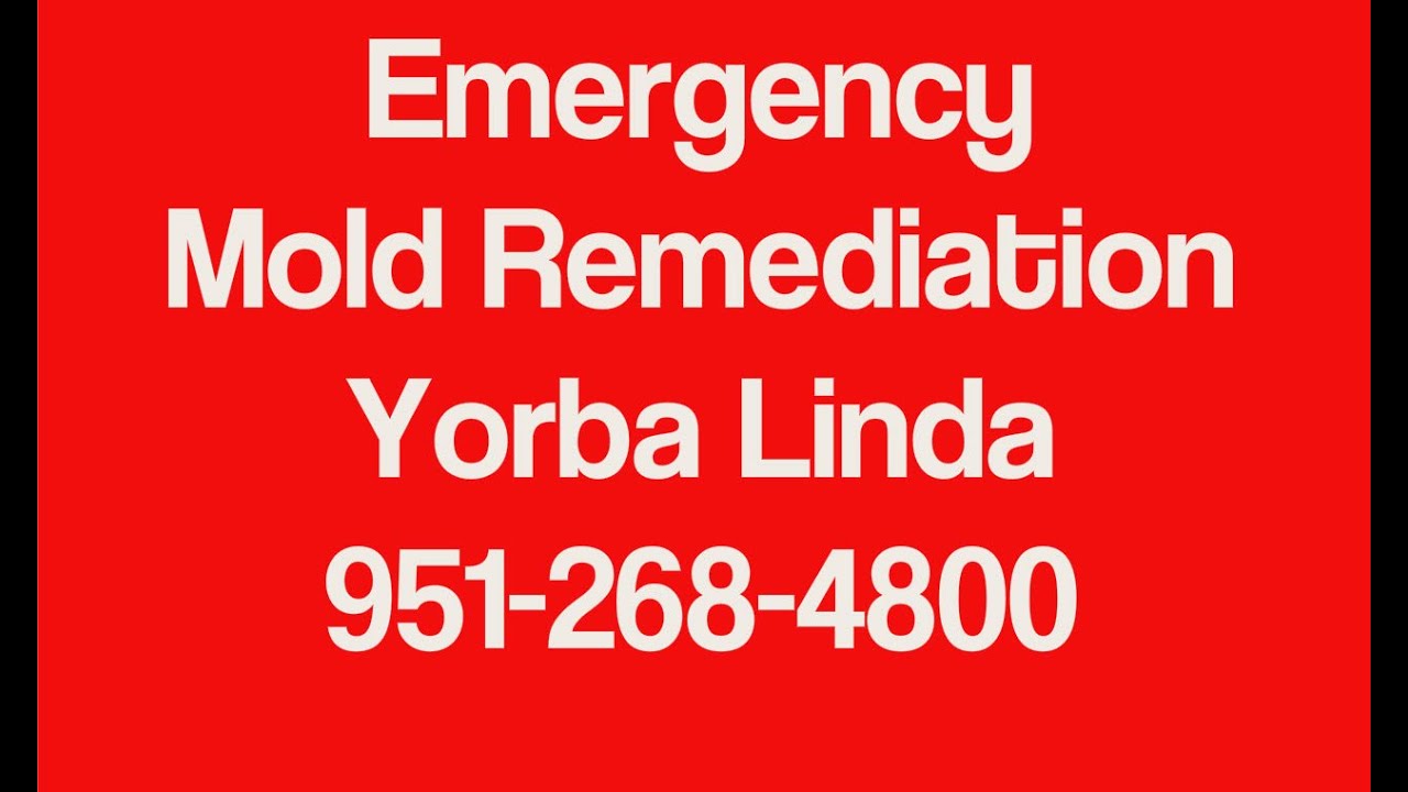 Mold Remediation Cleanup in Yorba Linda CA