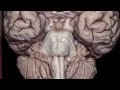 How the Spirit Works - Pathways to Enlightenment