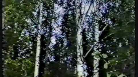 NSRD - Pavasara sekvences - The Sequences of Spring 3 of 3