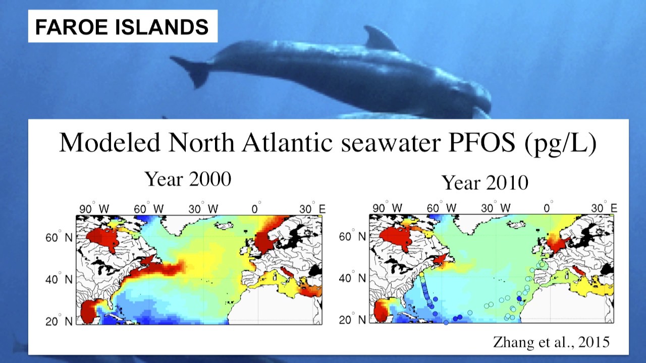 Elsie Sunderland, Harvard Public Health, Arctic Circle 2015 YouTube