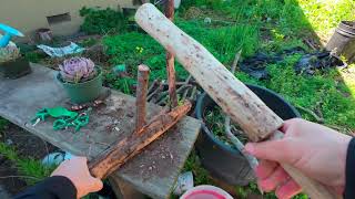 Carving A Batoning Club #woodcraft  #bushcraft #backyard