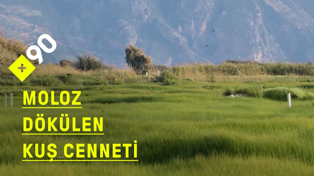 Latinalarning porno foto galereyasi Keksa ayollar jinsiy aloqa qilishni xohlashadi